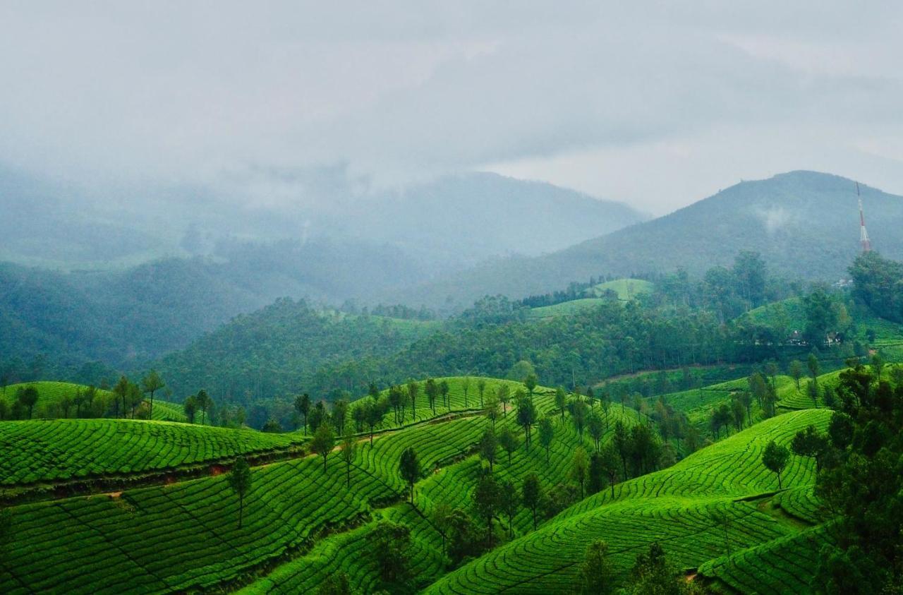 Lockhart Bungalow Munnar - A Cgh Earth Saha Experience Luaran gambar
