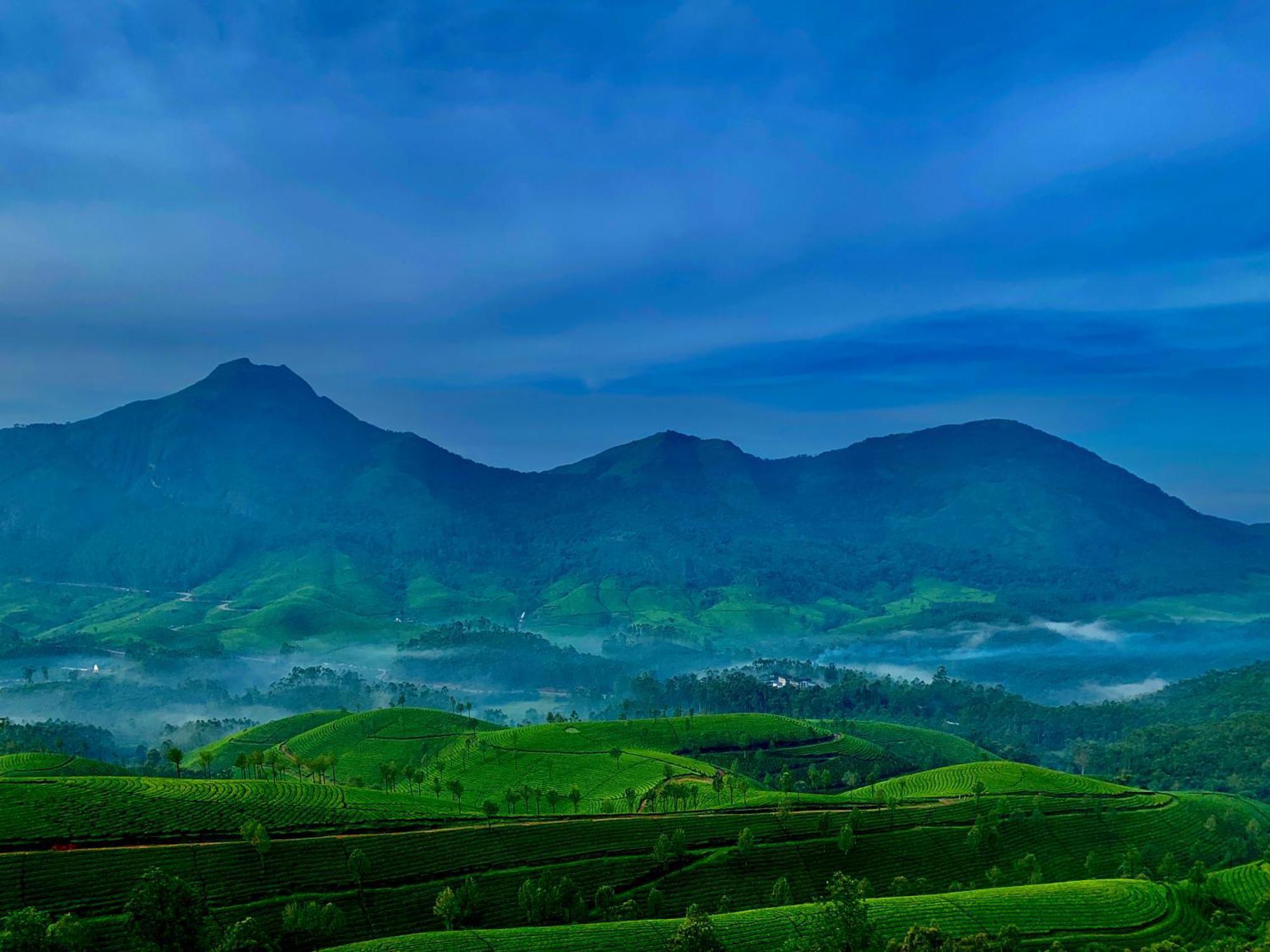 Lockhart Bungalow Munnar - A Cgh Earth Saha Experience Luaran gambar