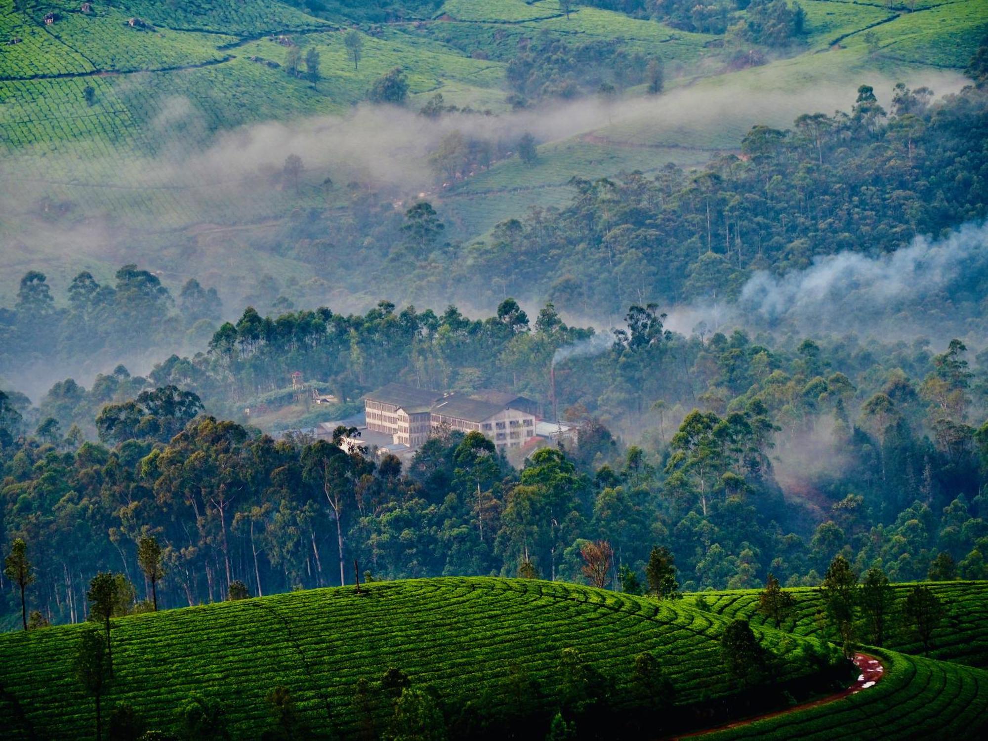 Lockhart Bungalow Munnar - A Cgh Earth Saha Experience Luaran gambar