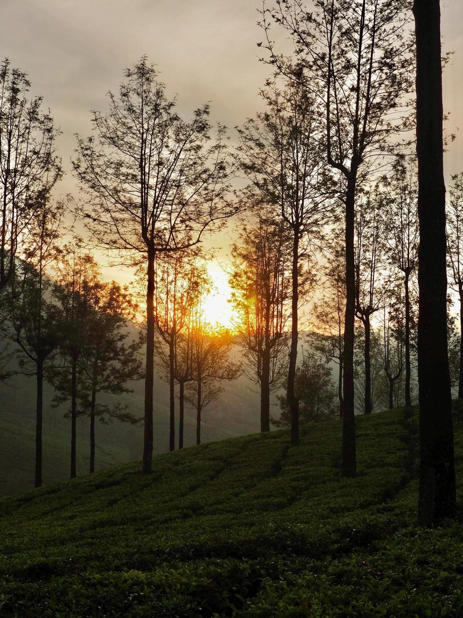 Lockhart Bungalow Munnar - A Cgh Earth Saha Experience Luaran gambar