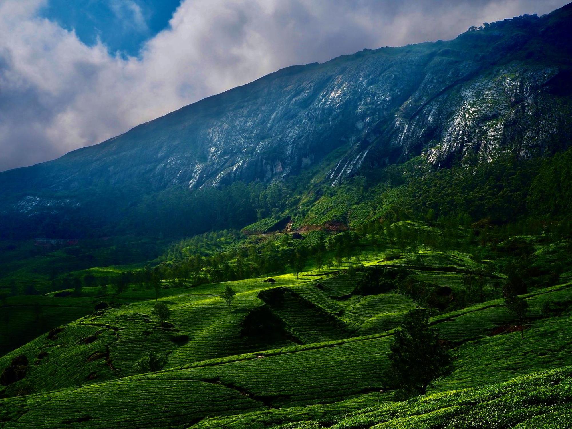 Lockhart Bungalow Munnar - A Cgh Earth Saha Experience Luaran gambar